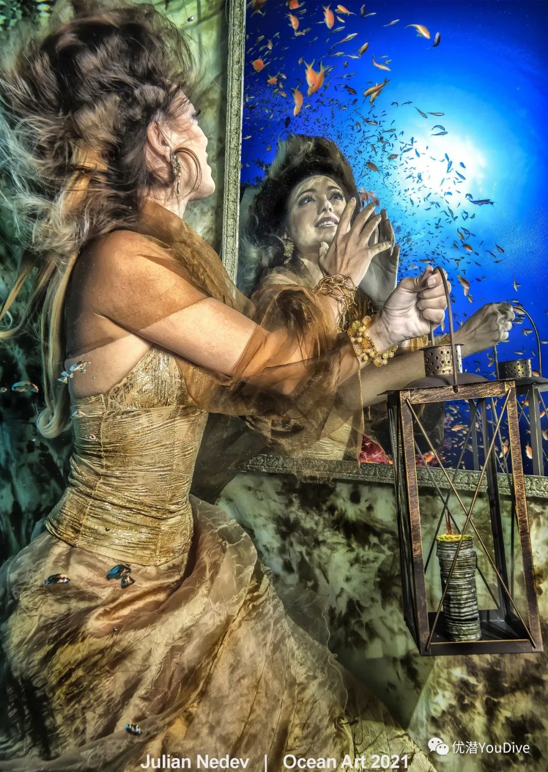 大海水下摄影作品欣赏,oceanart