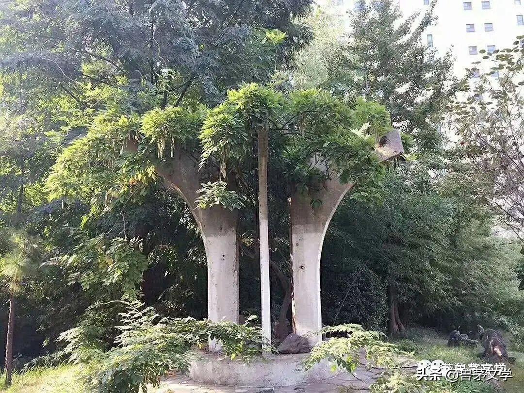 散文作家苏沧桑,冬酿散文