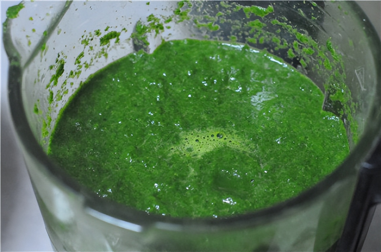 春天里的宝，也是女人保护草，拌一拌烙成饼，比韭菜肉饼香！