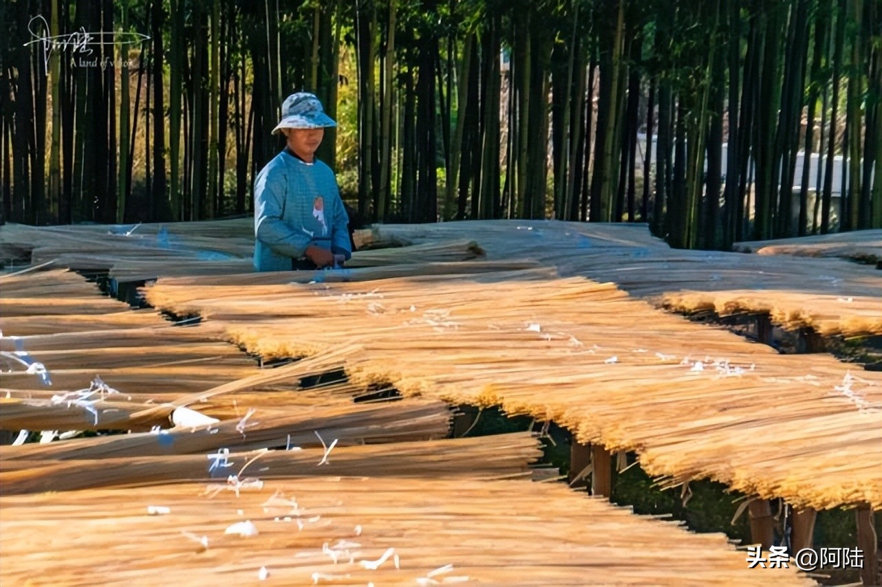 无意间路过太公堂村,邂逅了余杭“竹”功夫,人文风景挺不错