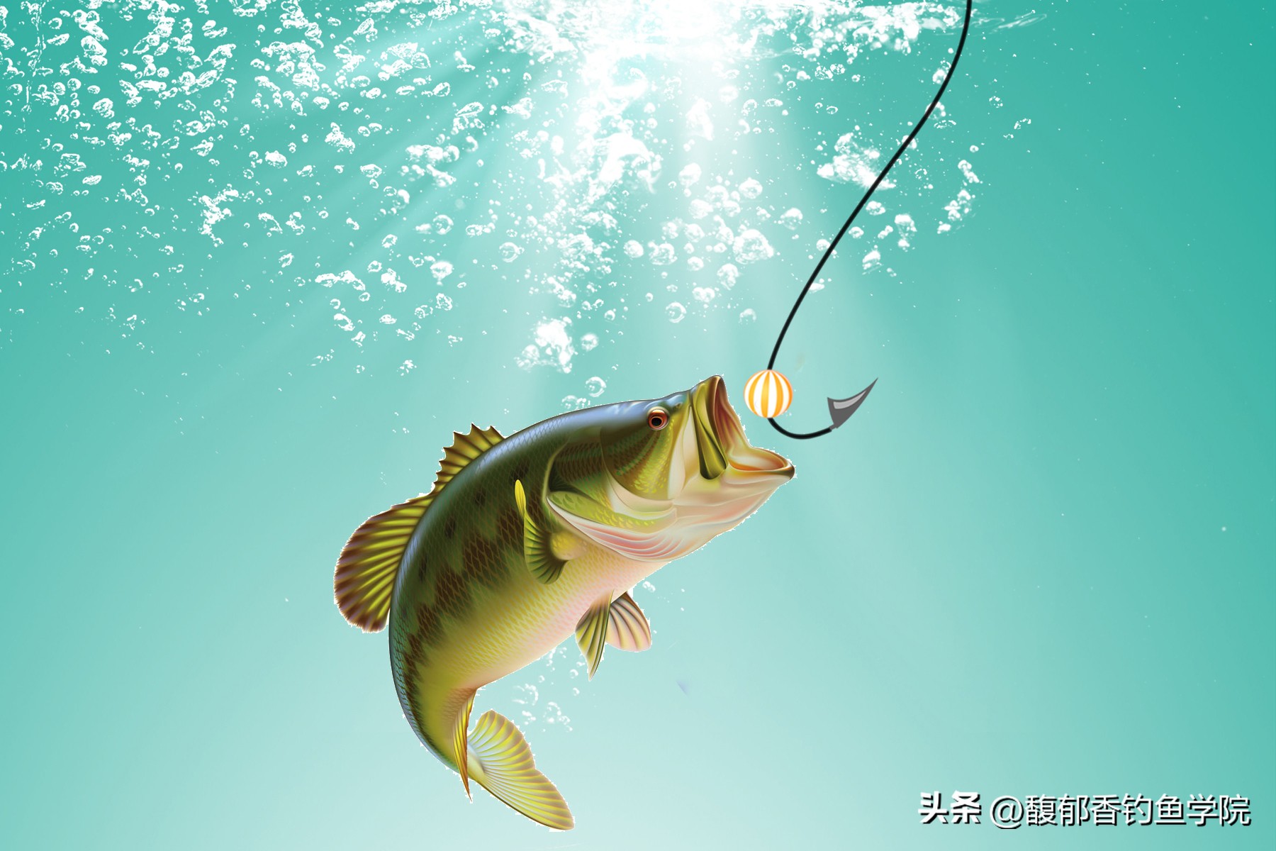 黑坑钓鲤鱼怎么规避小鱼,黑坑鲤鱼上浮不给飞铅怎么钓