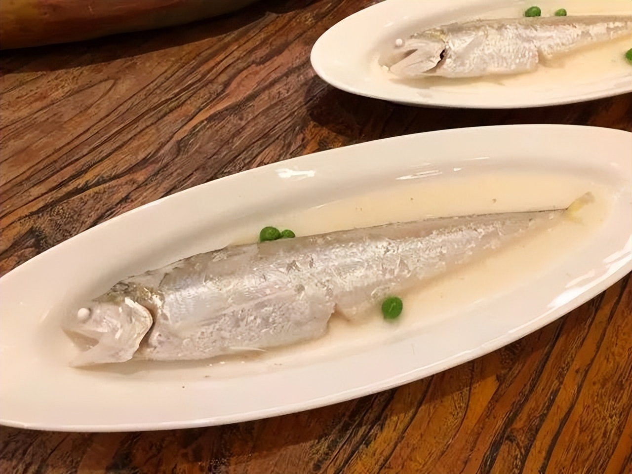 醉在春日限定的上海