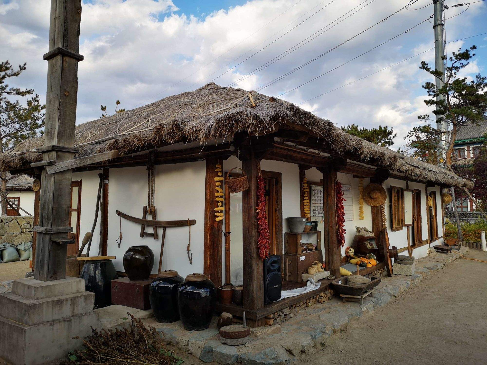 朝鲜人是高丽还是新罗的后裔,朝鲜人是什么民族后裔