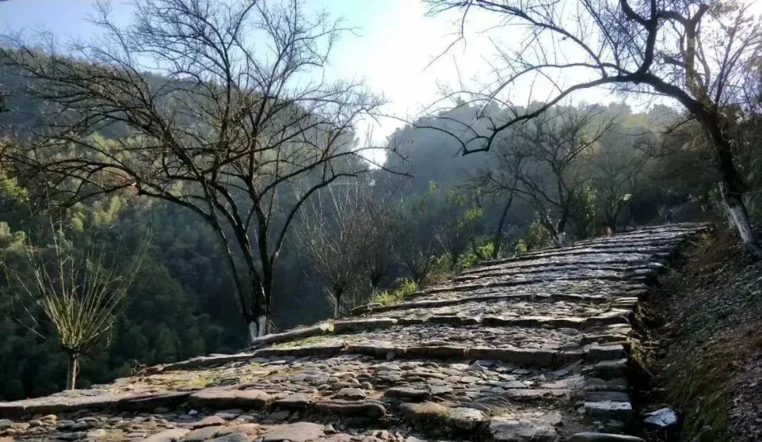 丹霞山阳元石风光,丹霞山那奇妙的景观