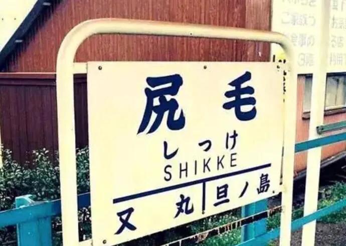 日本人取什么名字,为什么日本人取名字都要4个字