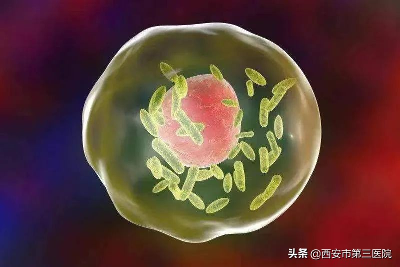 头疼发热是高反吗,头痛体温就高是怎么回事