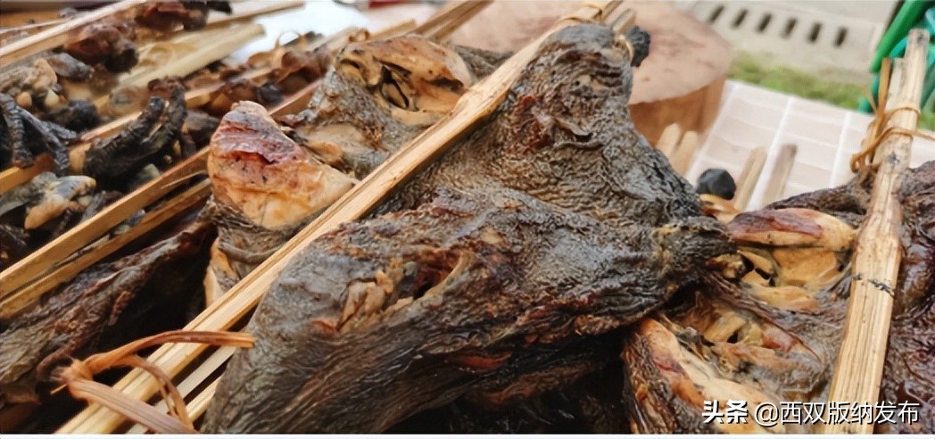 西双版纳泼水节文化讲解,云上泼水节之版纳之巅