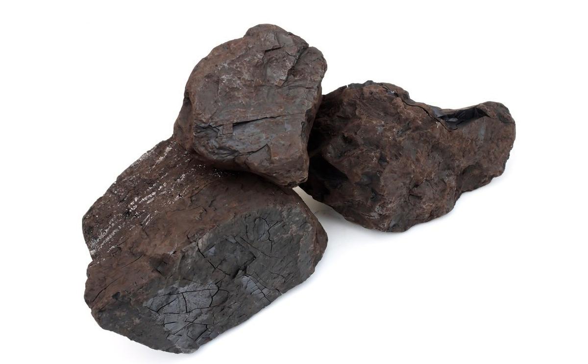 地球远古植物煤层,史前植物形成煤层