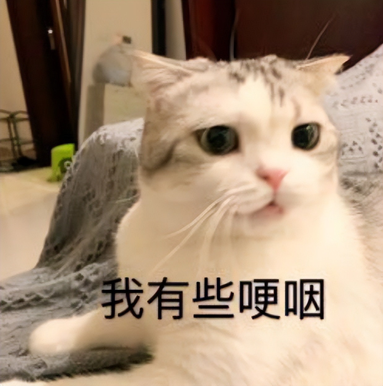 贩剑表情包评论区,贩剑表情包不回消息