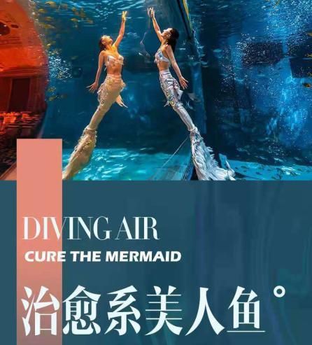 鲲鹏之志大展宏图|广东鲲蓝文化旅游有限公司授牌仪式成功举行