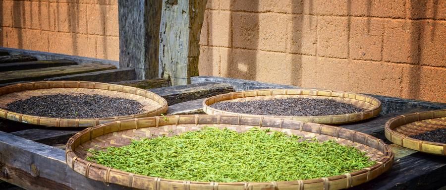 有哪些茶采用的晒青茶,云南大叶种晒青茶是什么茶