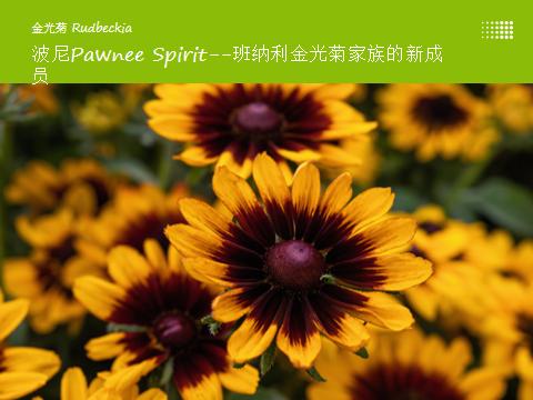 德国疫情带来的变化,德国园艺市场趋势