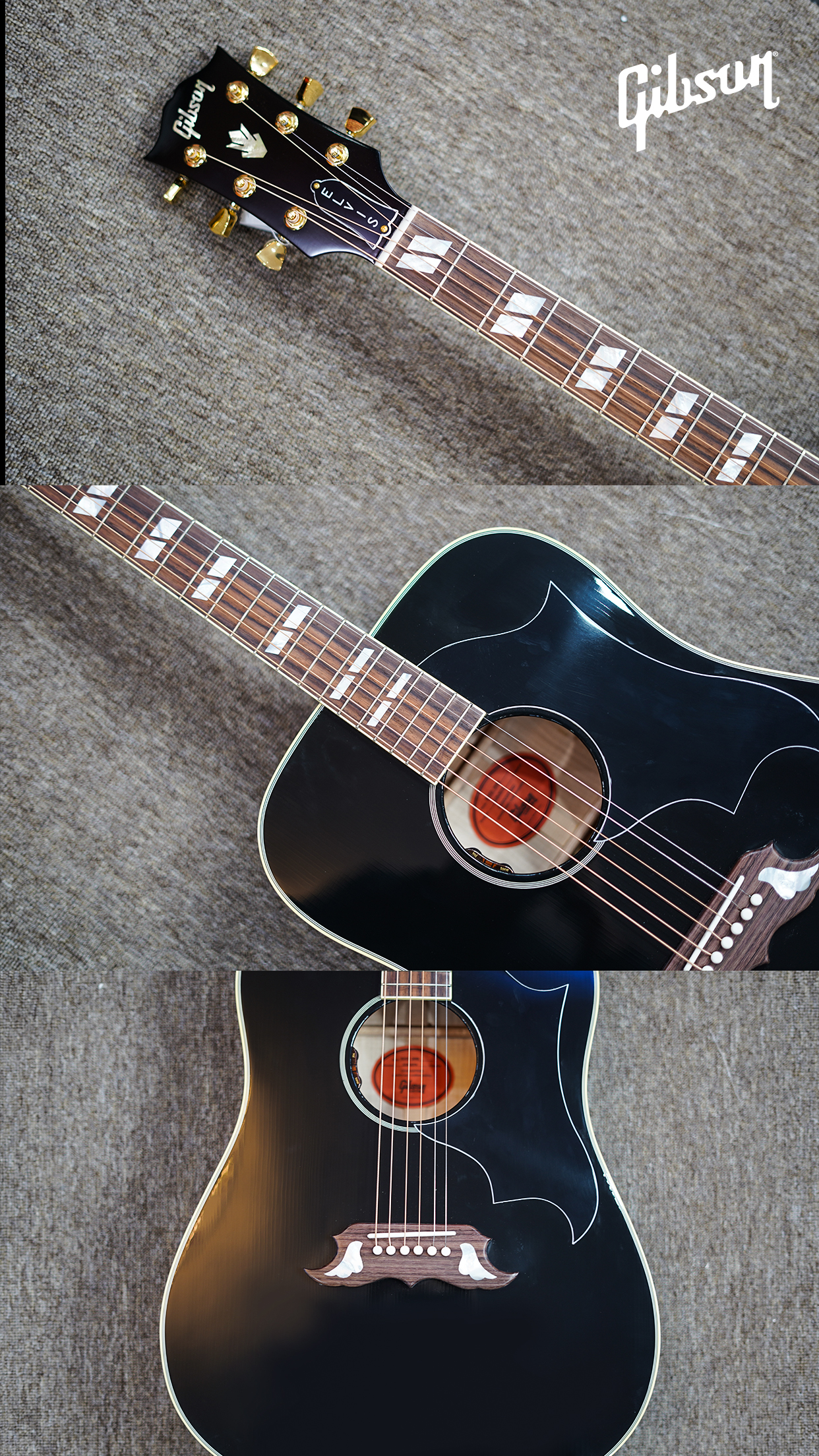 海知音吉他馆,海知音琴行演出