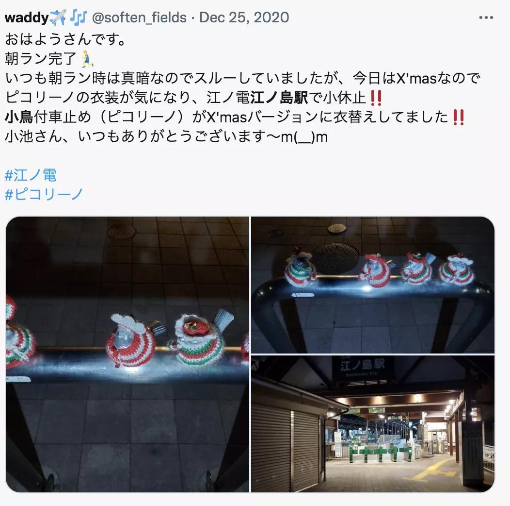 害怕小鸟受凉，有人悄悄为它们织了22年的毛衣