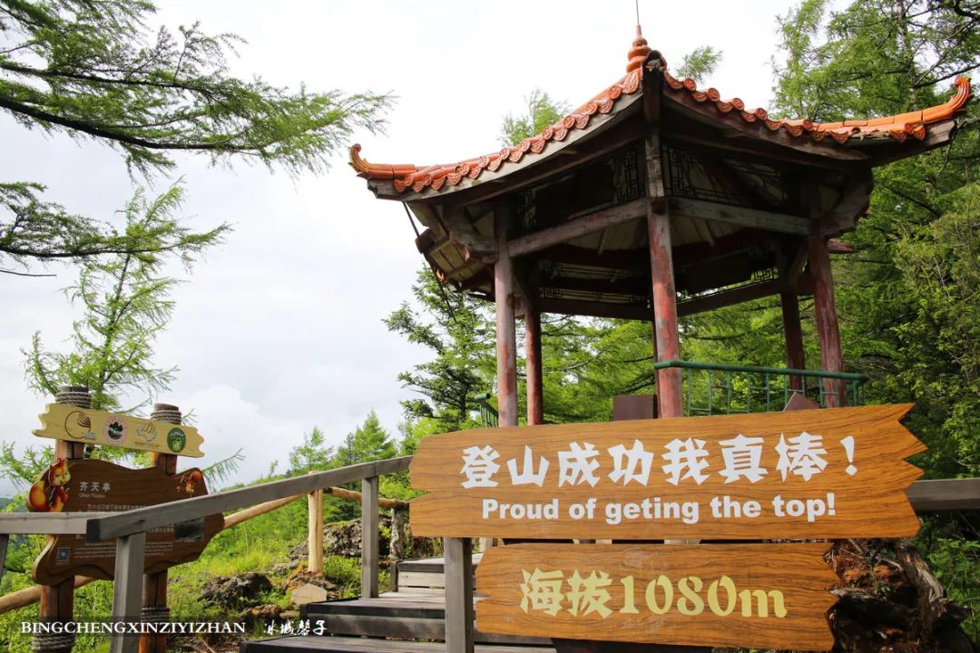 火山口国家森林公园与地下森林,清凉度夏探秘地下森林