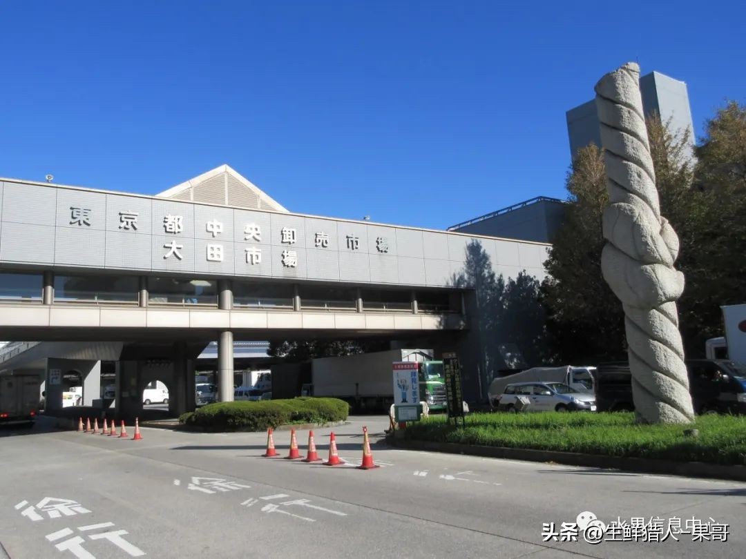 世界第一果蔬批发市场,中国十大果蔬批发市场