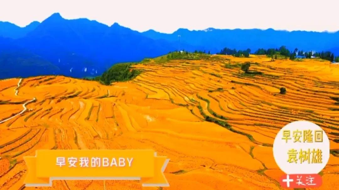 时隔多年再看足球比赛,一年以来的足球比赛