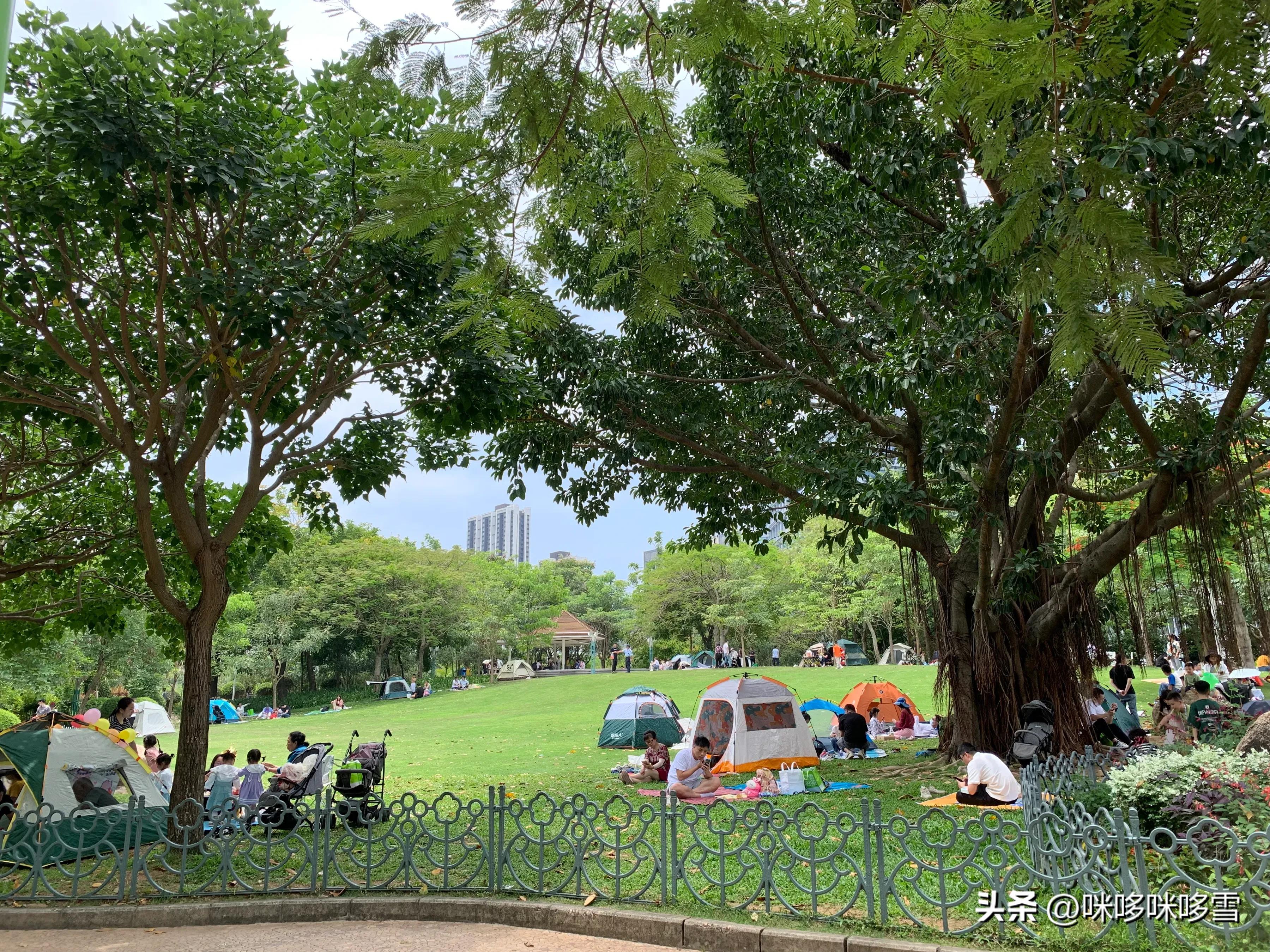 深圳市儿童乐园一日游,深圳儿童乐园值得去吗