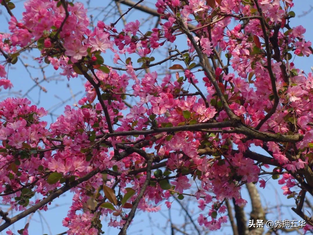 有一种生活叫云南四季,《有一种叫云南的生活》