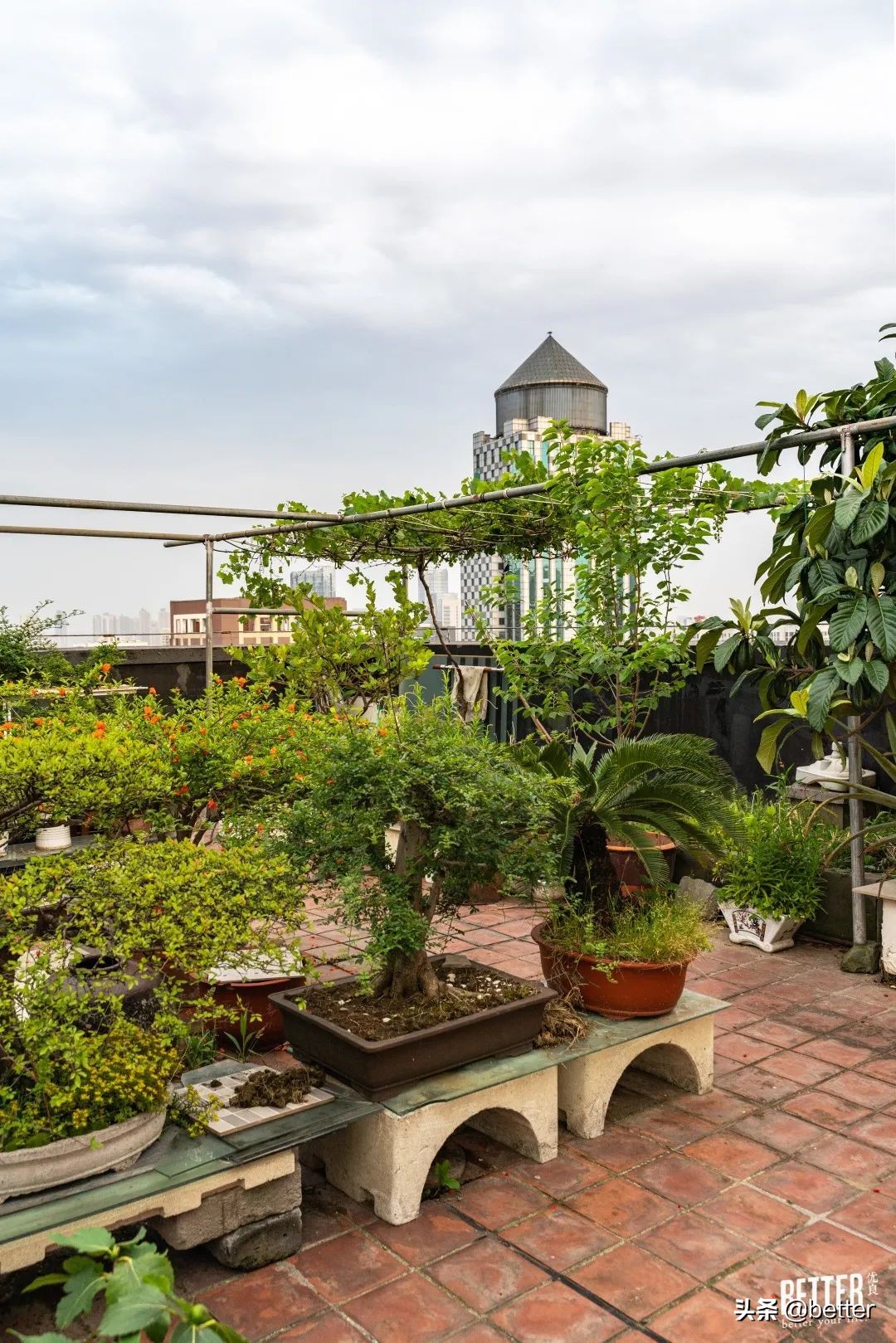 公交车爬楼顶,公交车飞上了楼顶