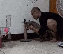 网友画“壁虎”想耍耍自家猫，可没想到…把全网的猫都给骗了