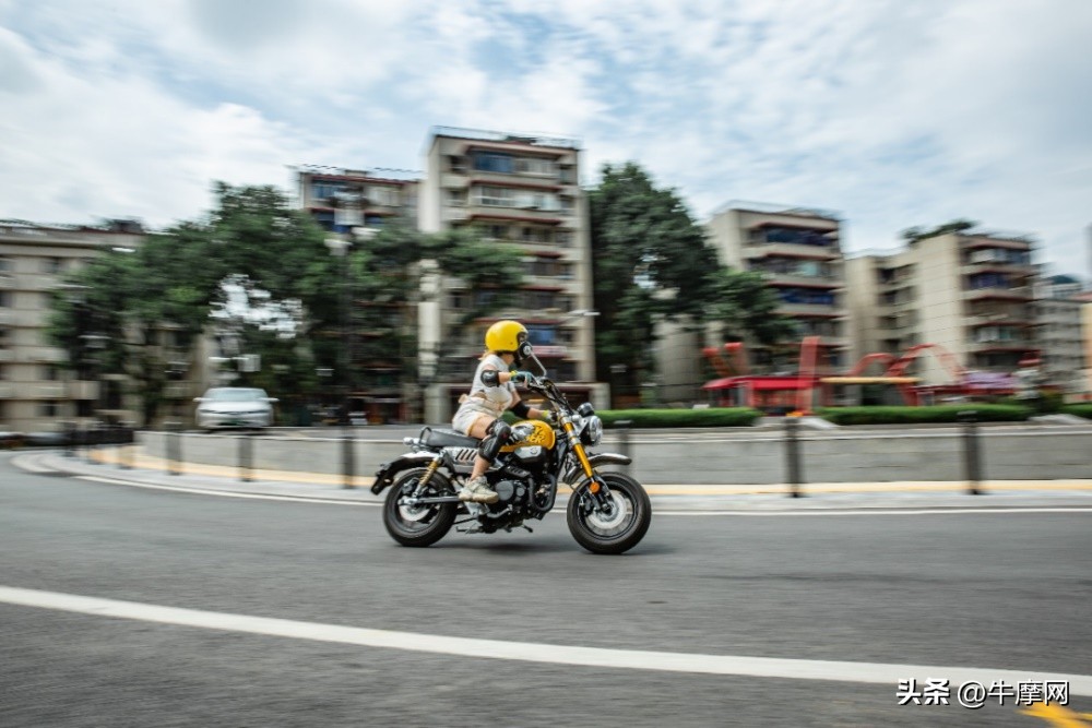 银钢150和蜜獾怎么选,平头哥蜜獾的战斗力有多强