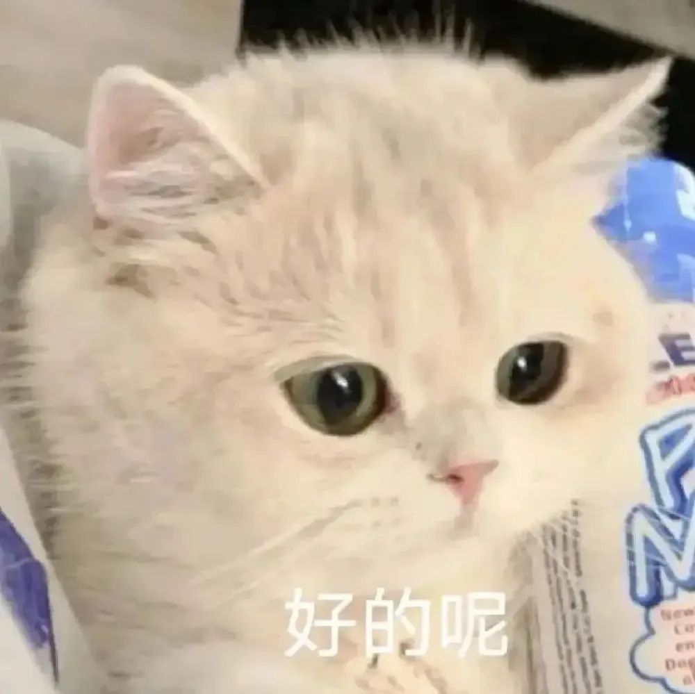 不白吃推荐的小龙虾,真正的小龙虾虾黄