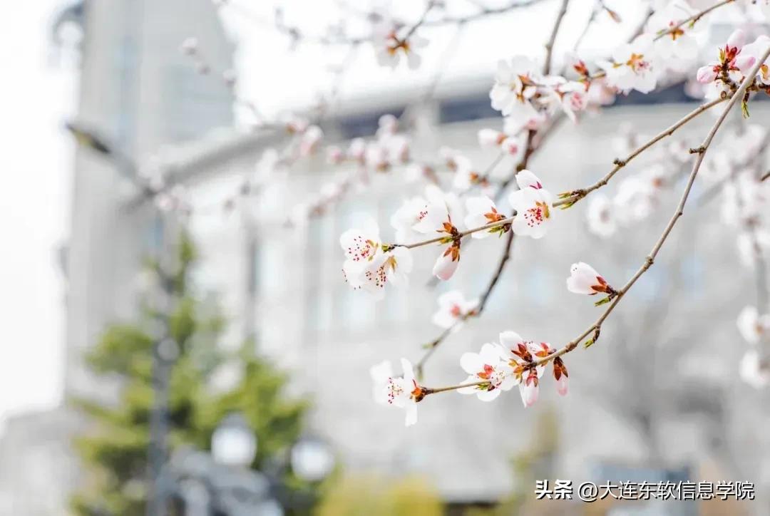 目前全国第一成绩,全国第一厉害大学