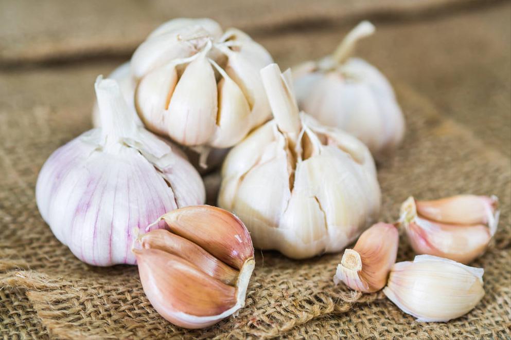 为什么大米放在塑料瓶里不会生虫,家里大米怎么放不长虫