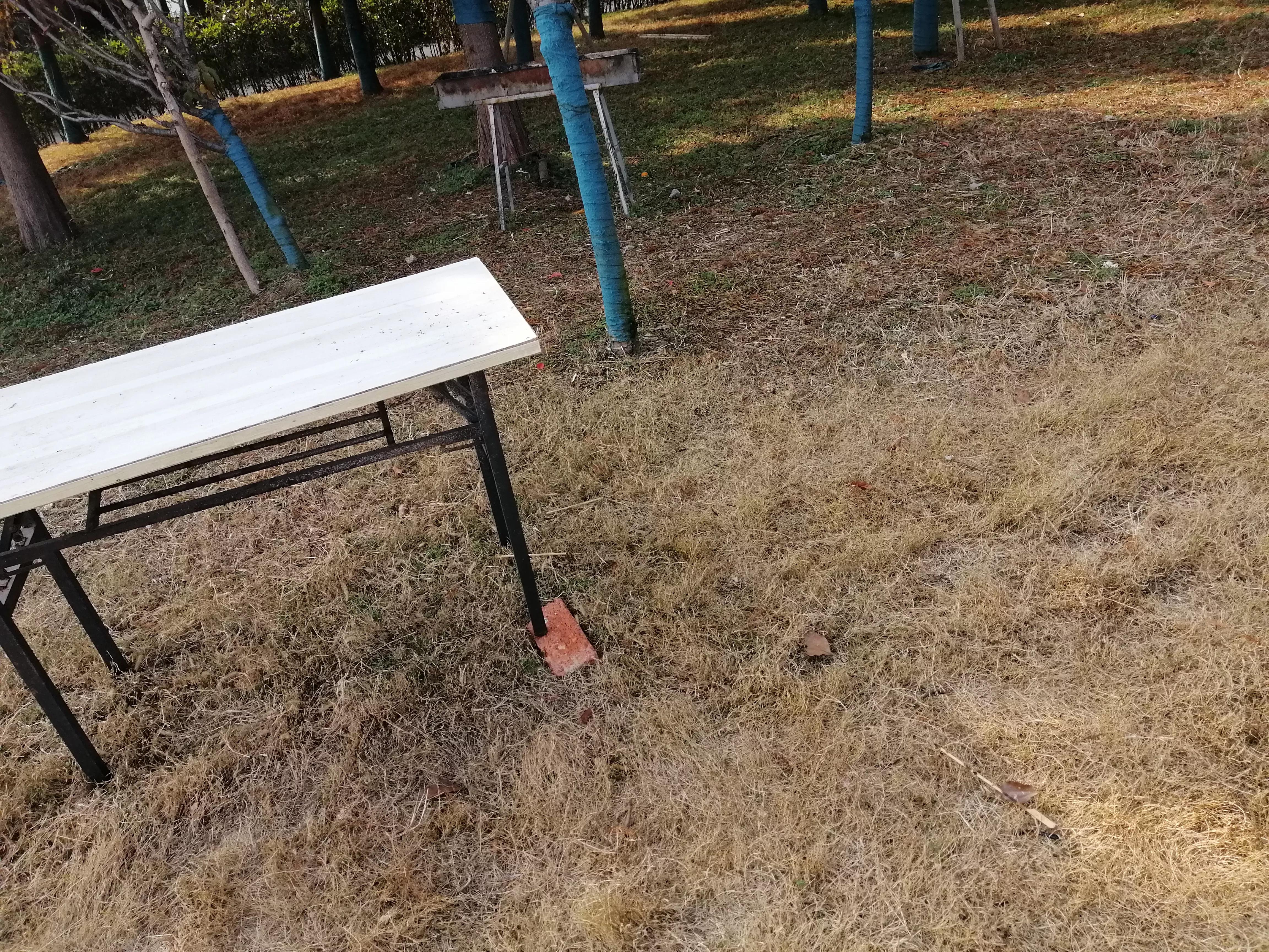 北湖共享农庄,澄湖农庄农家乐