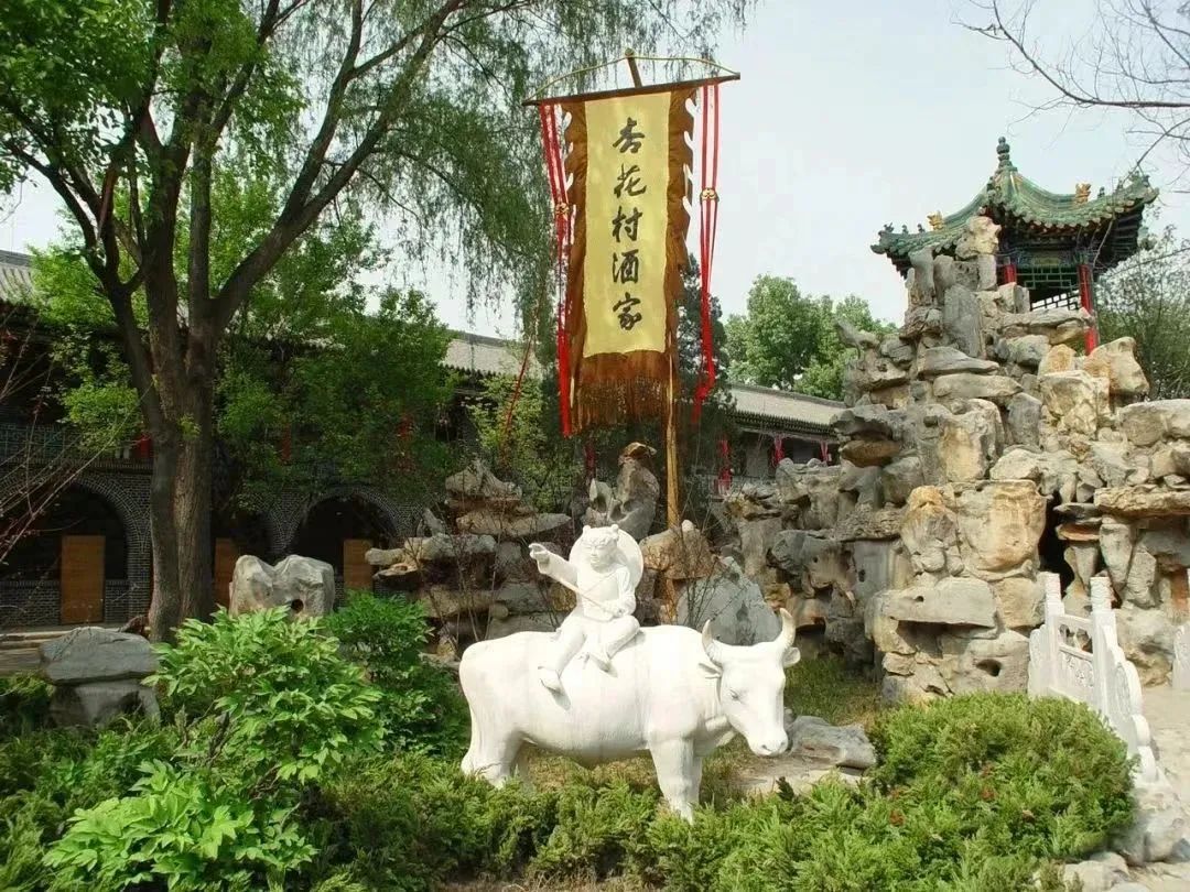 山西人喝汾酒的感受,山西人对汾酒的热爱