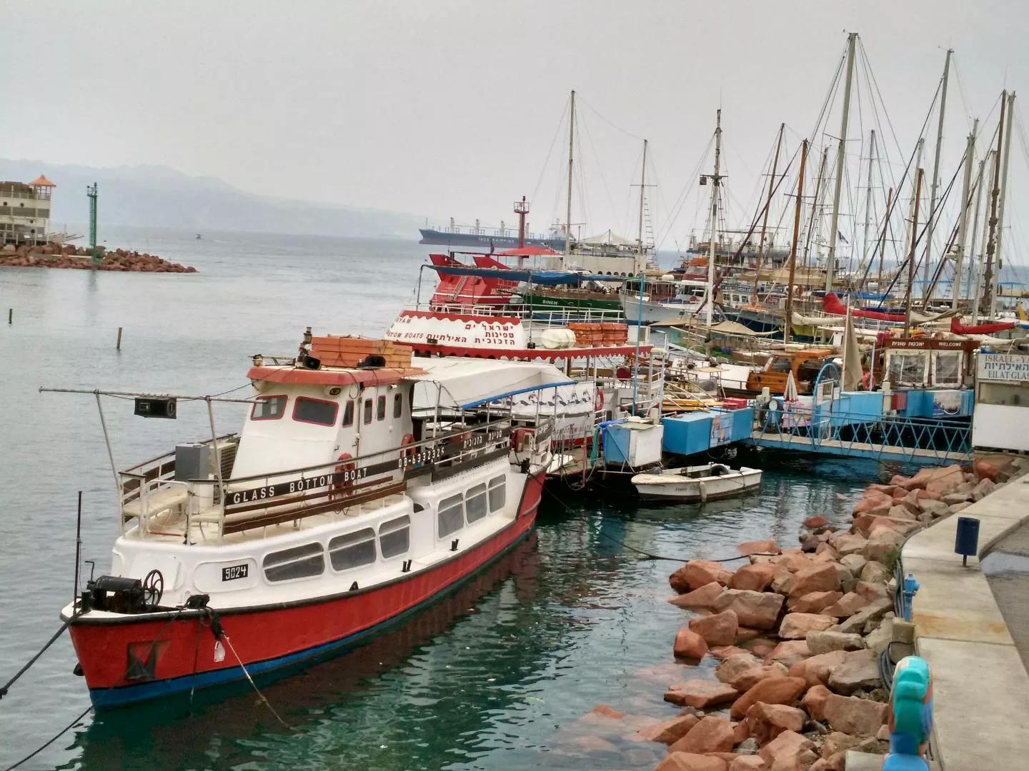 以色列犹太民族的惨痛心酸历史,以色列犹太民族历史