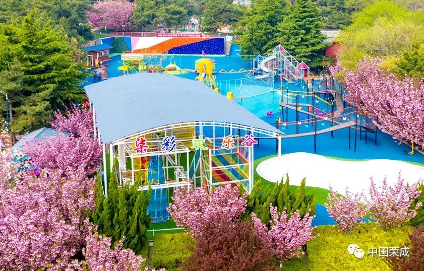 2023鑽ｆ垚鏂囨梾娲诲姩,鑽ｆ垚鐗圭鍏典竴鏃ユ父