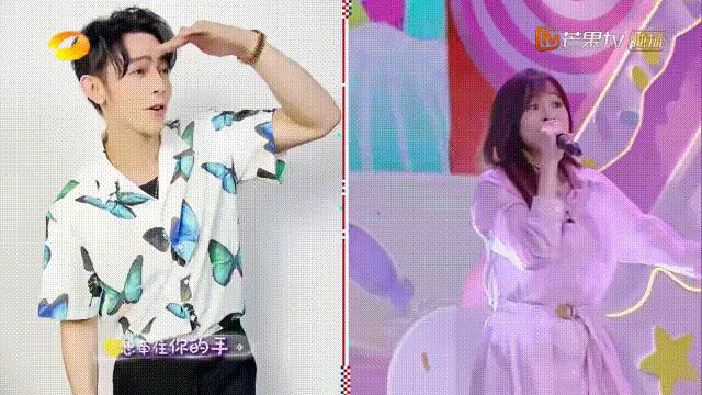 张栋梁王心凌2017,王心凌张栋梁同框演唱会