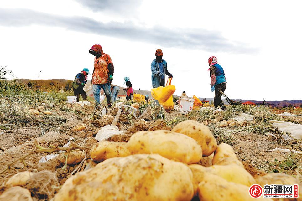 非凡十年乌鲁木齐,非凡十年乡村振兴