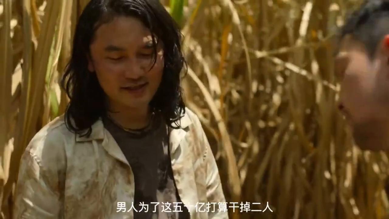 为独吞五十亿资产，他亲手将合伙人绑架到甘蔗田