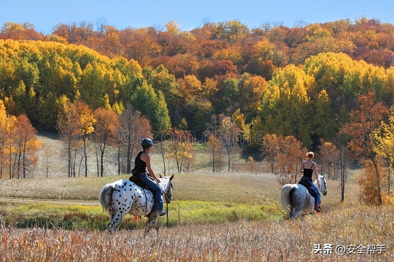 安全爬梯马道搭设规范要求,马道搭设技术交底