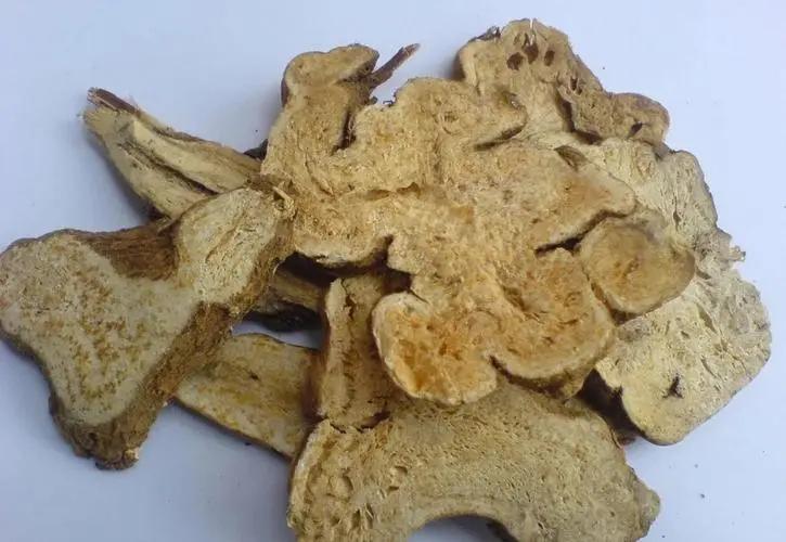 骨康胶囊治阴虚还是阳虚,骨康胶囊对骨质疏松有用吗