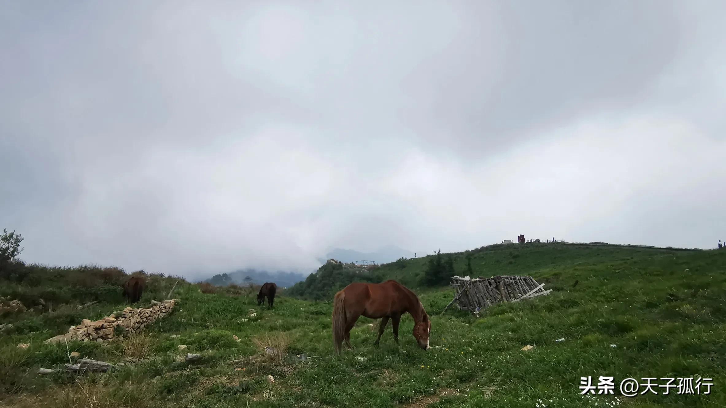 我们如此热爱石家庄|想和你，在石家庄想和你一起做的事