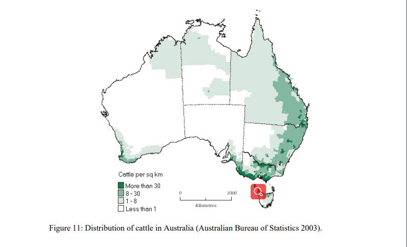 屎壳郎漂洋过海,屎壳郎出口澳大利亚时间