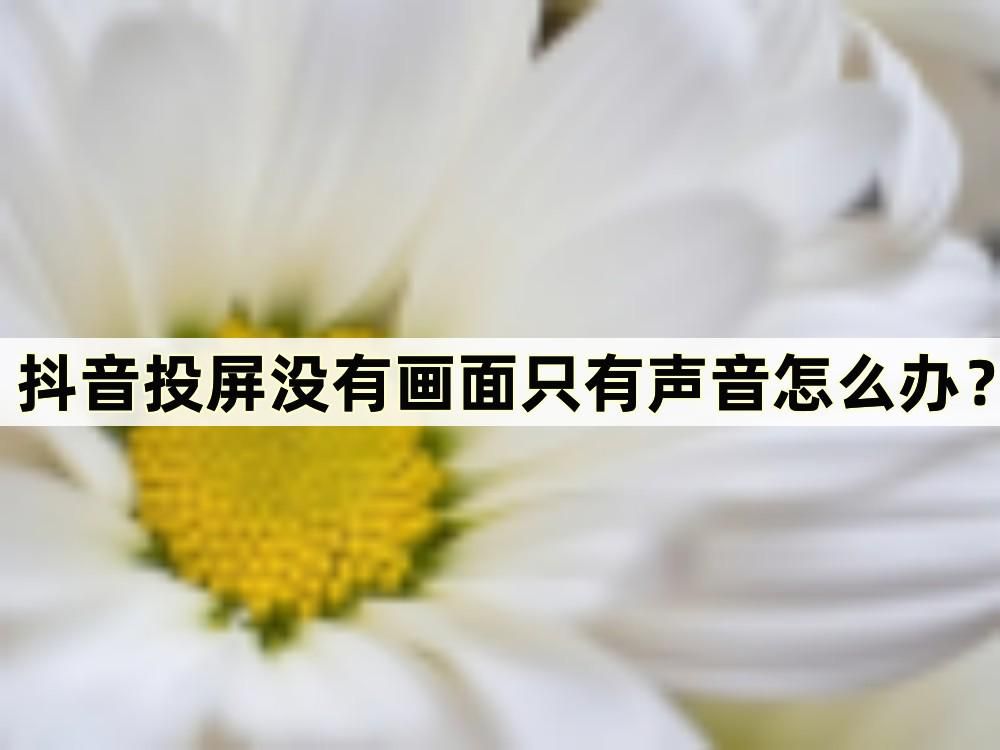 抖音投屏电视没声音怎么解决,抖音直播投屏电视只有声音没影像