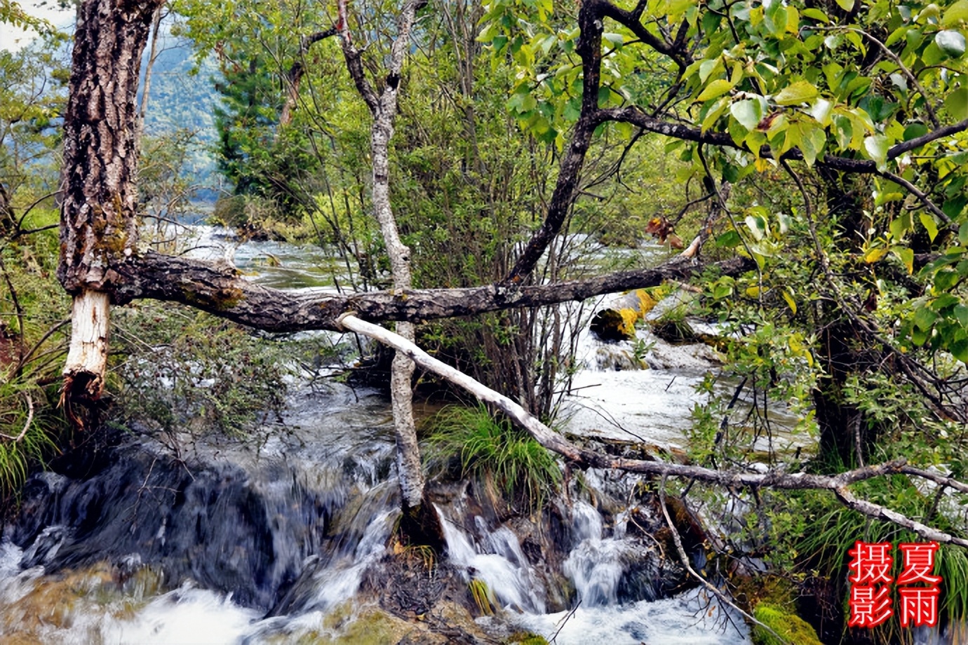 大美九寨沟之老虎海,九寨沟犀牛海与老虎海