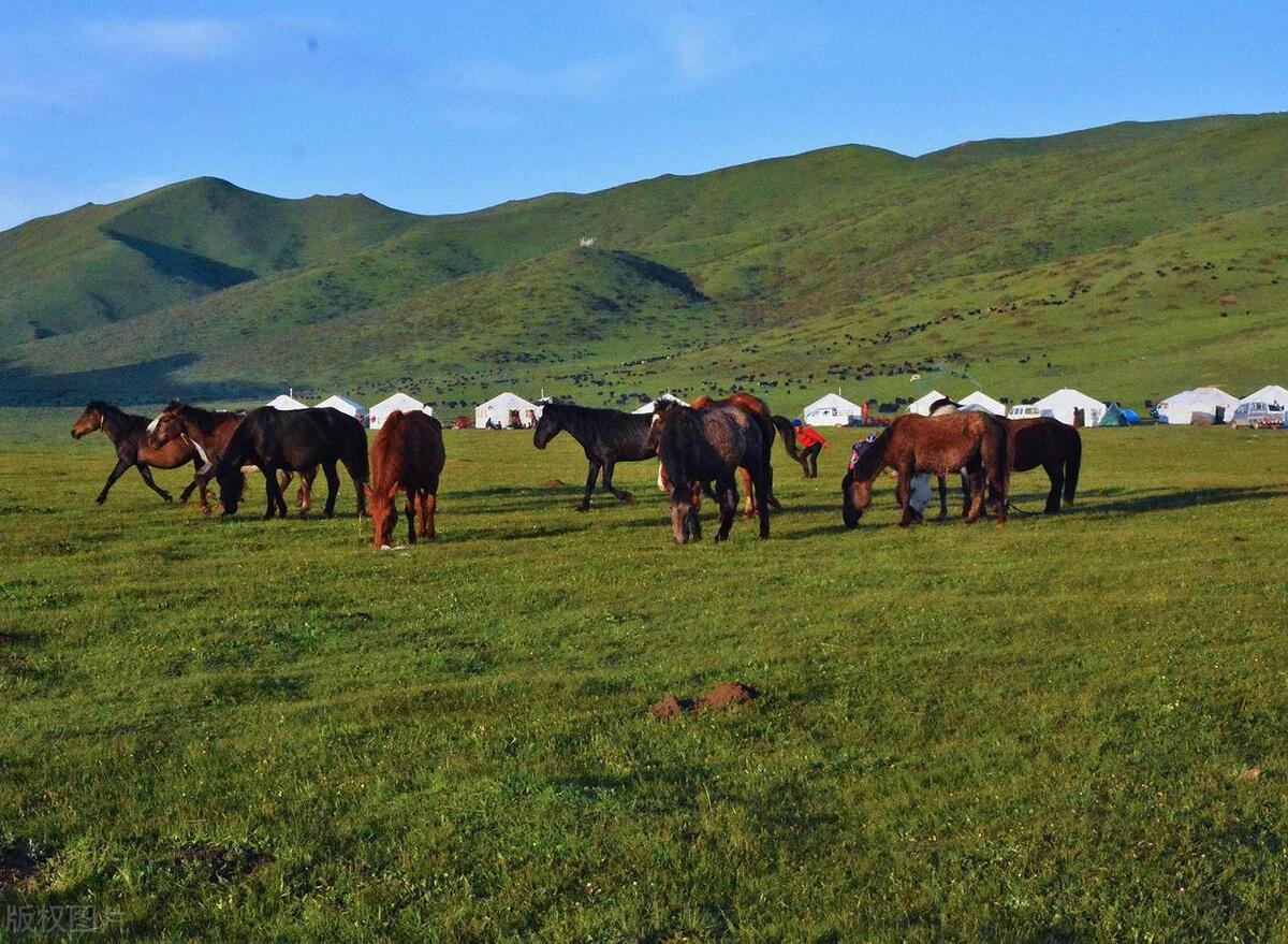 珠海九大湿地公园在哪里,神农架大九湖湿地公园