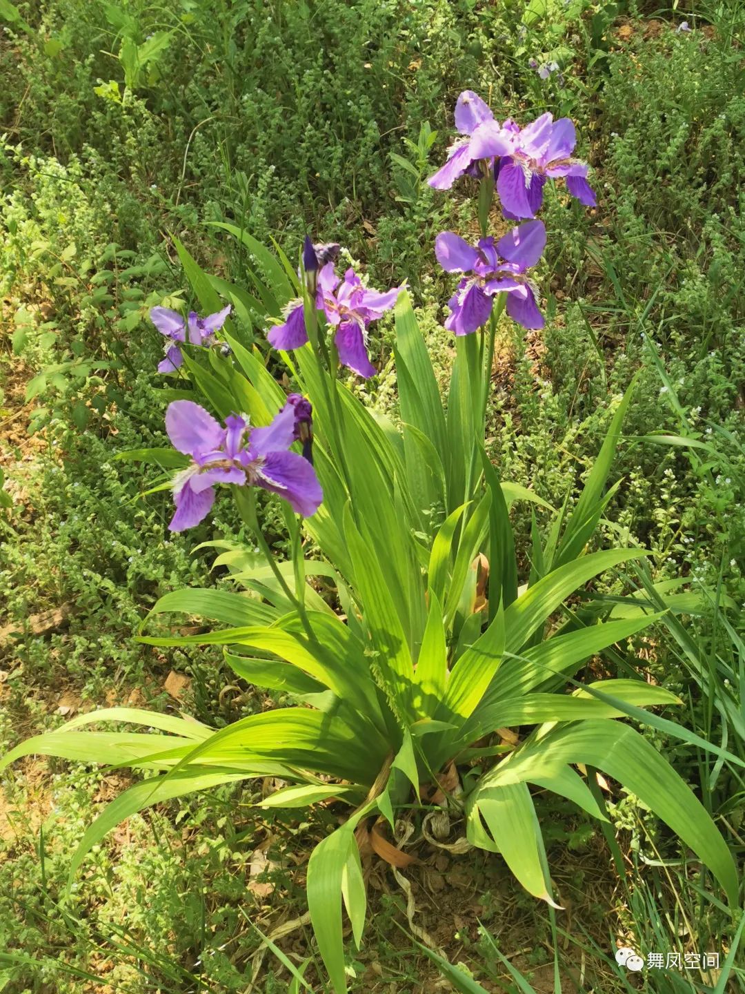 西山国家森林公园海拔,西山国家森林公园昆明