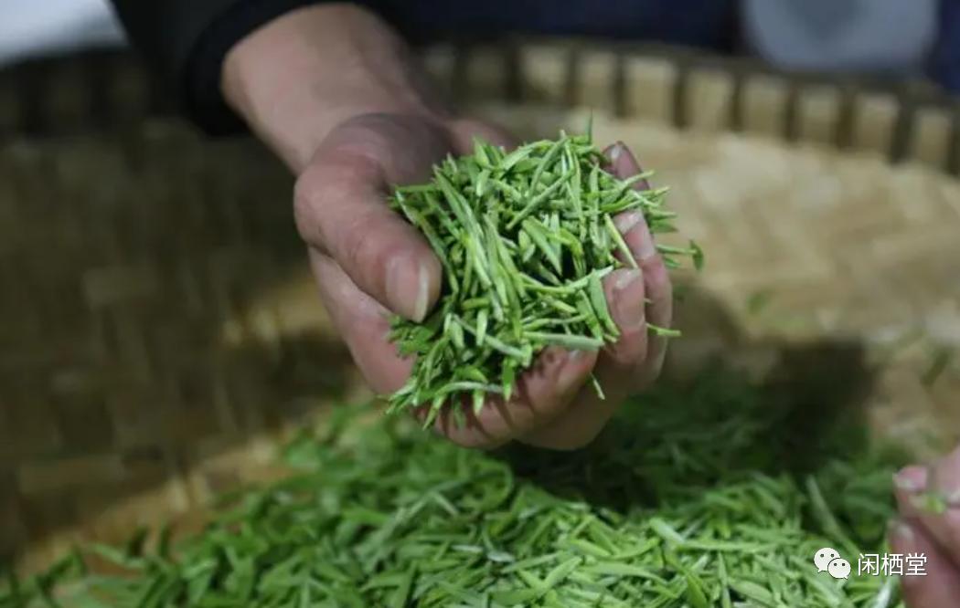 中国顶级茶叶排行榜,中国顶级茶叶排行榜大全