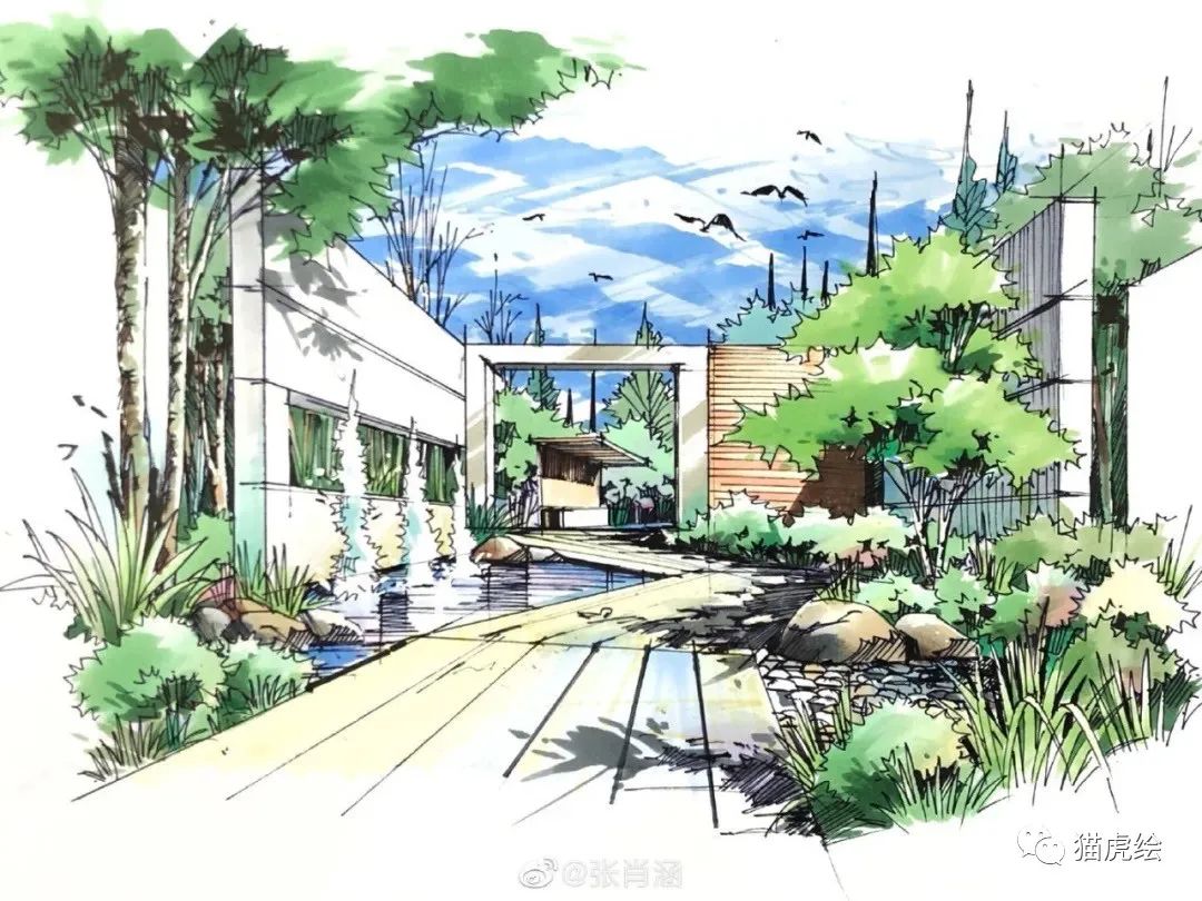 2022猫虎绘暑假手绘班招生简章「线上+线下」