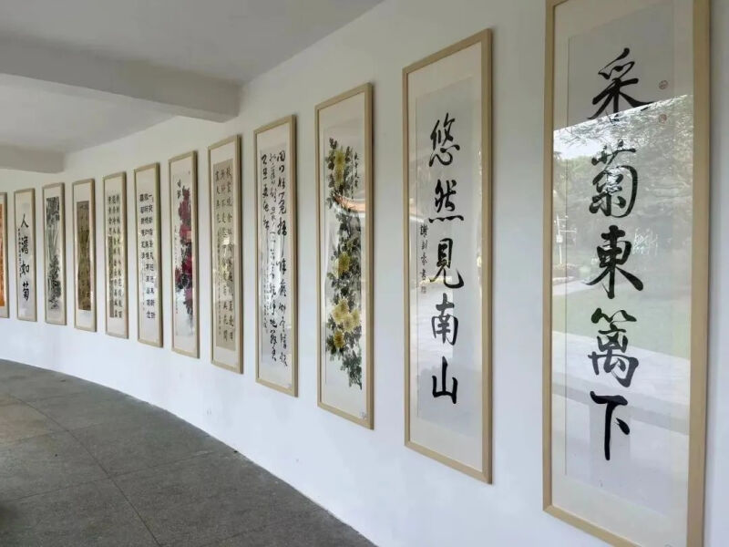 深圳市东湖公园一年一季的菊花展,深圳的东湖公园的菊花展漂亮极了