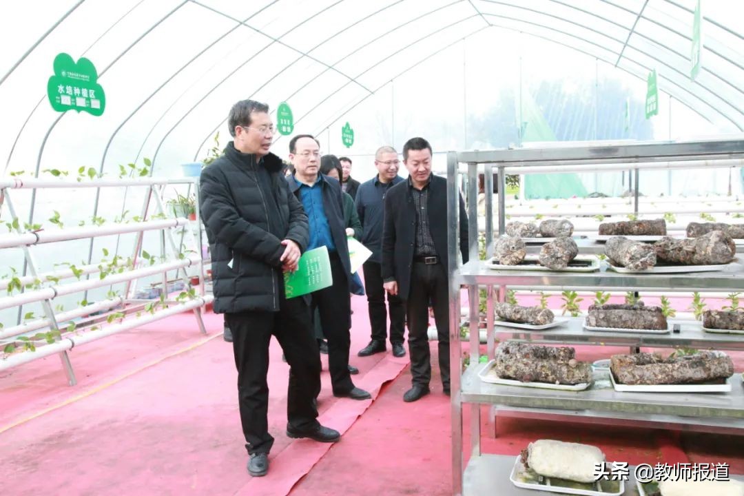 汉中教育集团化,陕西汉中振兴计划包含的工程项目