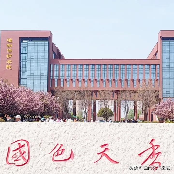 杨凌创业园区,杨凌示范区创业