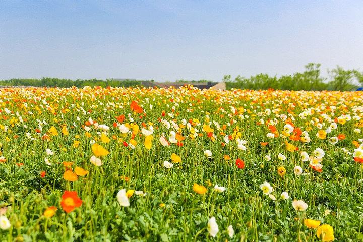 江苏的冷门景点排名,江苏比较冷门但是好玩的地方